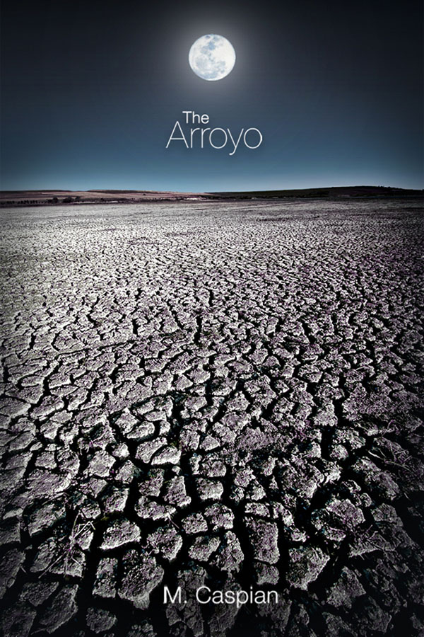 The Arroyo